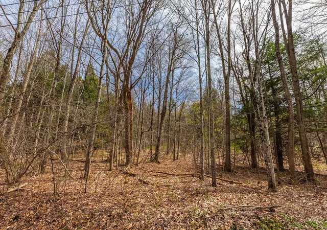 Photo 3 of Land for sale at 530 Finbars Forest Rd, Manchester Center, VT 05255 | MLS# 5090186 | Listing updated on 2026-05-27