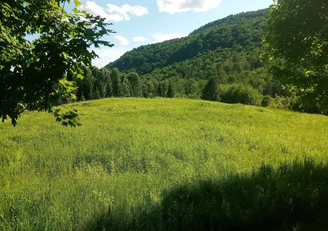 1st image of Lot B Windmill Ln, Williamstown, VT 05679 | MLS# 5090301