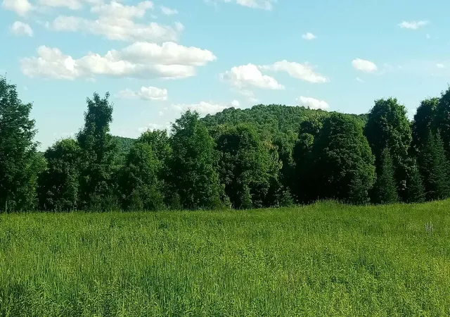 3rd image of Lot B Windmill Ln, Williamstown, VT 05679 | MLS# 5090301