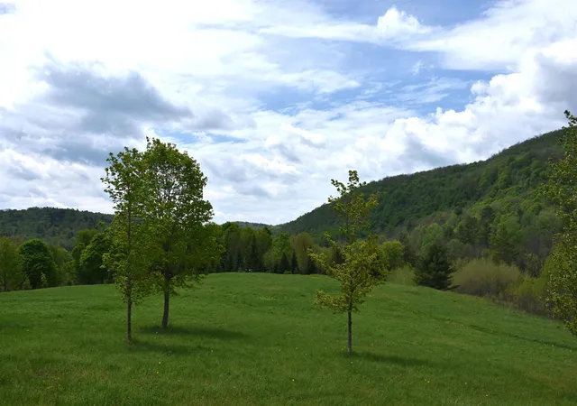 4th image of Lot B Windmill Ln, Williamstown, VT 05679 | MLS# 5090301