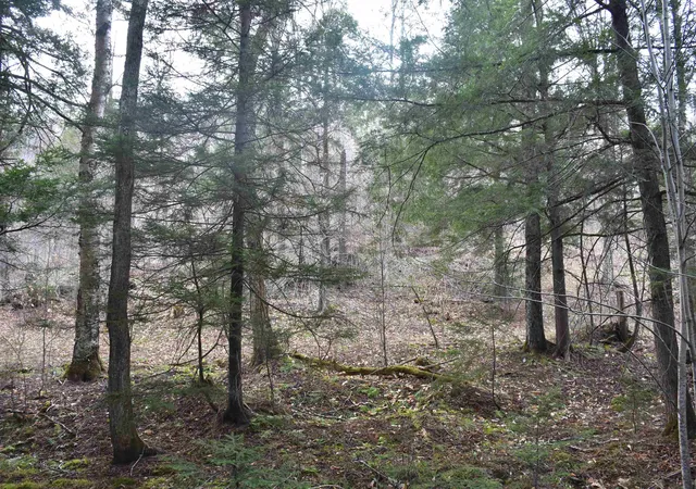53rd image of Lot B Windmill Ln, Williamstown, VT 05679 | MLS# 5090301