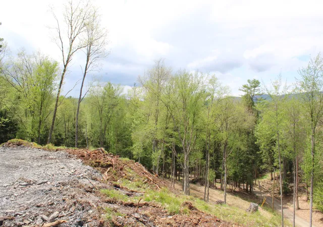 1st image of Lot 23/24 Wetherbee Rd, Lyman, NH 03585 | MLS# 5090359