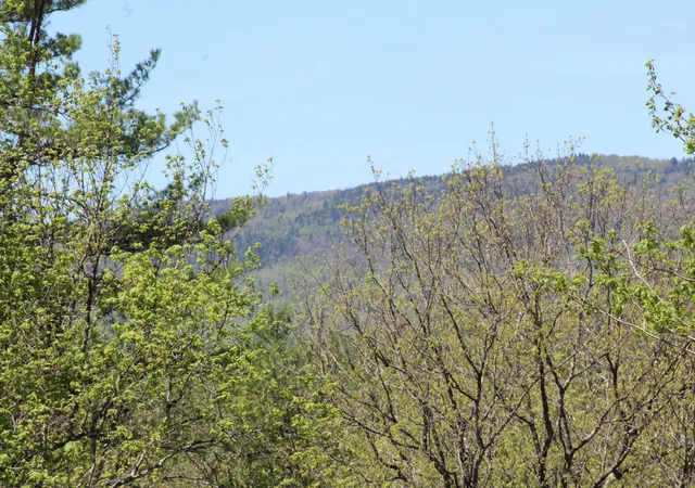 2nd image of Lot 23/24 Wetherbee Rd, Lyman, NH 03585 | MLS# 5090359