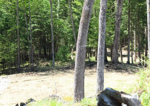 4th image of Lot 23/24 Wetherbee Rd, Lyman, NH 03585 | MLS# 5090359
