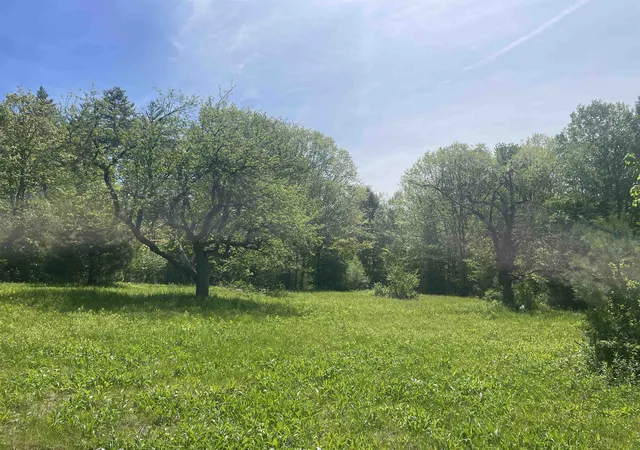 Homes for sale in Halifax, VT | 491 Whitneyville Rd, Halifax, VT 05358 | MLS# 5090490