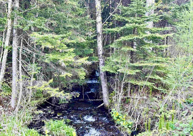 Photo 23 of Land for sale at Lot 8 Gulch Brook Rd, Colebrook, NH 03576 | MLS# 5090535 | Listing updated on 2026-08-26