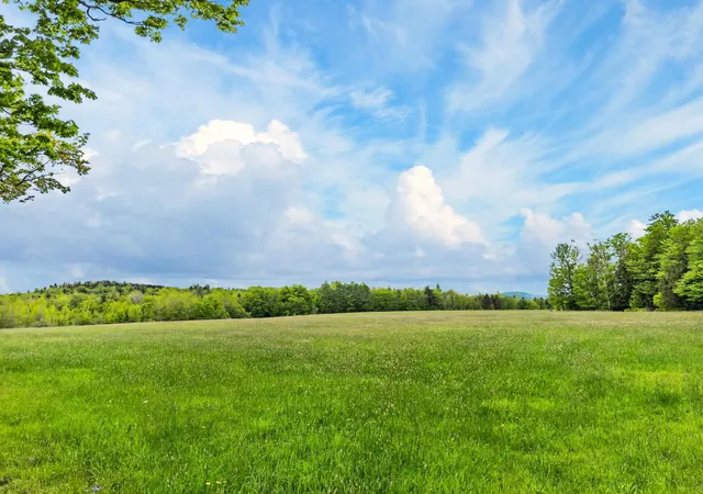 Homes for sale in Whitingham, VT | Lot 0 Saddada Rd, Whitingham, VT 05361 | MLS# 5090898