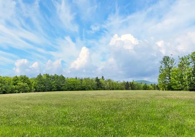 Homes for sale in Whitingham, VT | Lot 0 Saddada Rd, Whitingham, VT 05361 | MLS# 5090898