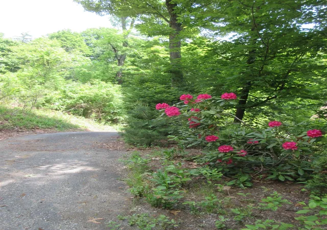 Homes for sale in Brattleboro, VT | 90 Wilsons Woods Rd, Brattleboro, VT 05301 | MLS# 5091453