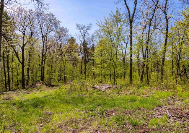 41st image of 189 Shagbark Ln, Williston, VT 05495 | MLS# 5091725