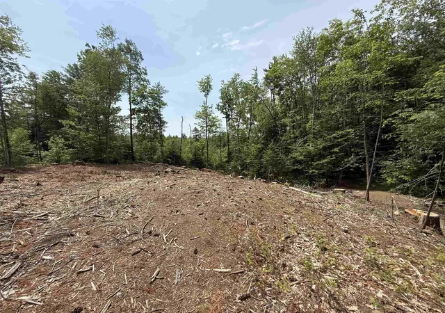 Homes for sale in Middleton, NH | 51 Pineridge Rd, Middleton, NH 03887 | MLS# 5091762