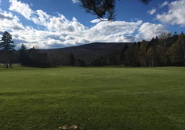 Homes for sale in Wilmington, VT | 2 Woodlot Ln #C-215, Wilmington, VT 05363 | MLS# 5092054