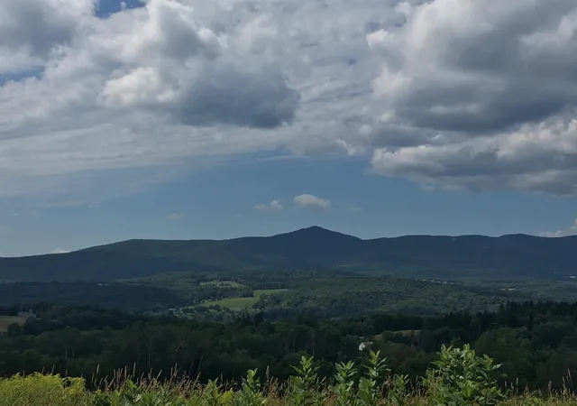 Homes for sale in Wilmington, VT | 7 High Top Rd #B117, Wilmington, VT 05363 | MLS# 5092082