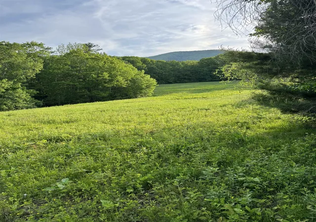 Homes for sale in Pownal, VT | 00 Montgomery Rd, Pownal, VT 05261 | MLS# 5092084