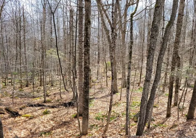 Homes for sale in Grantham, NH | 400 Road Round The Lake Road, Grantham, NH 03753 | MLS# 5092170