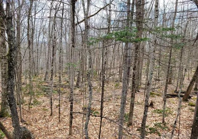 Homes for sale in Grantham, NH | 400 Road Round The Lake Road, Grantham, NH 03753 | MLS# 5092170
