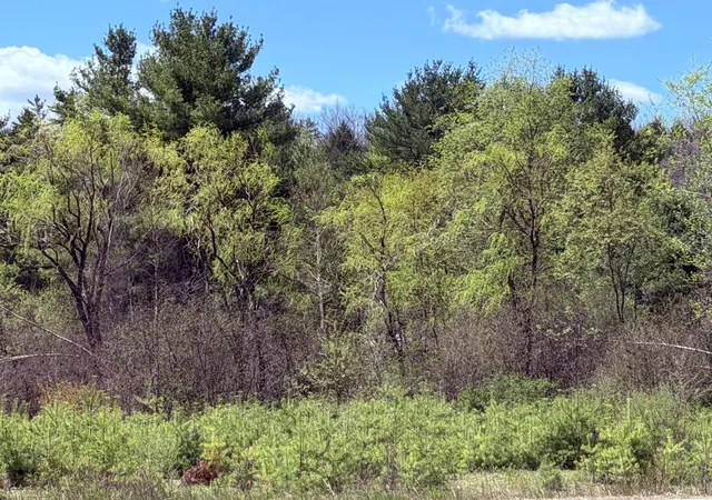 image of 736 John Stark Hwy, Newport, NH 03773 | MLS# 5092235