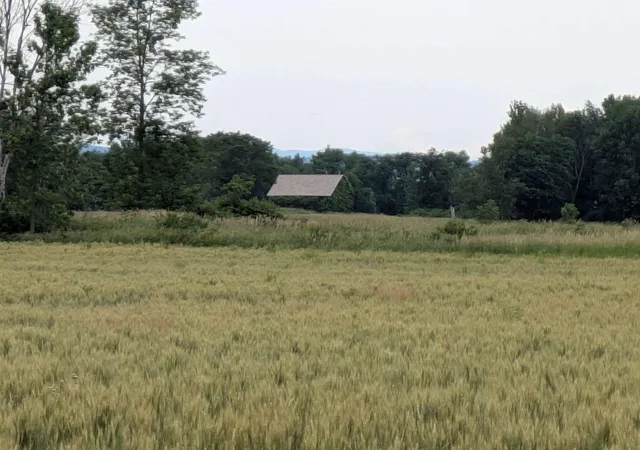 8th image of 104 Old Stonehouse Rd, Addison, VT 05491 | MLS# 5092357