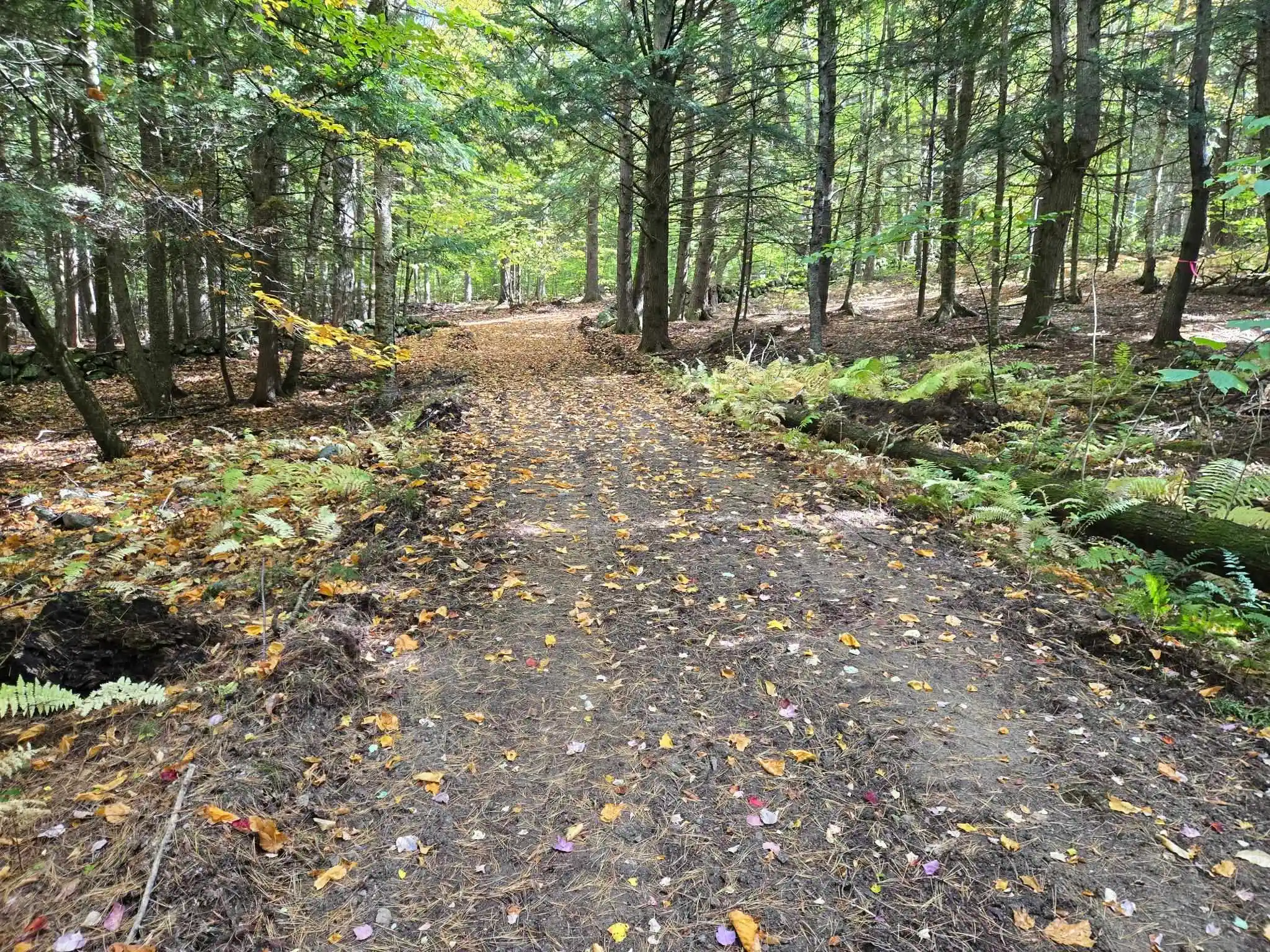 Land for sale at Lot 13 Beach Pond Rd, Wolfeboro, NH 03894 | MLS# 5092400