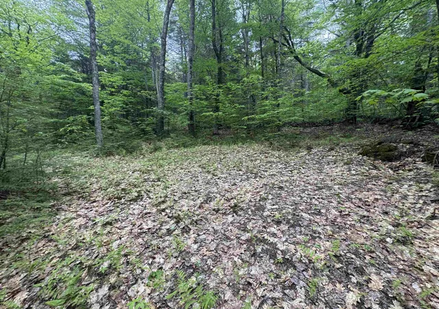 Photo 2 of Land for sale at Lot 13 Beach Pond Rd, Wolfeboro, NH 03894 | MLS# 5092400 | Listing updated on 2026-09-04