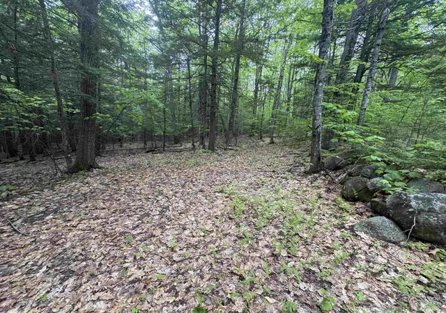 Photo 3 of Land for sale at Lot 13 Beach Pond Rd, Wolfeboro, NH 03894 | MLS# 5092400 | Listing updated on 2026-09-04