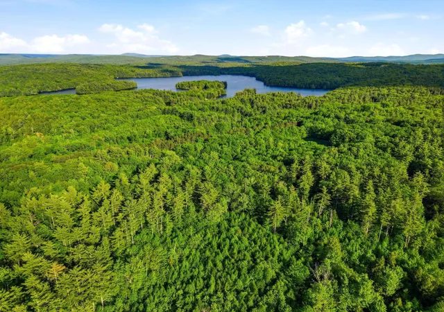 5th image of 91 Wolf Hill Rd, Deering, NH 03244 | MLS# 5092455