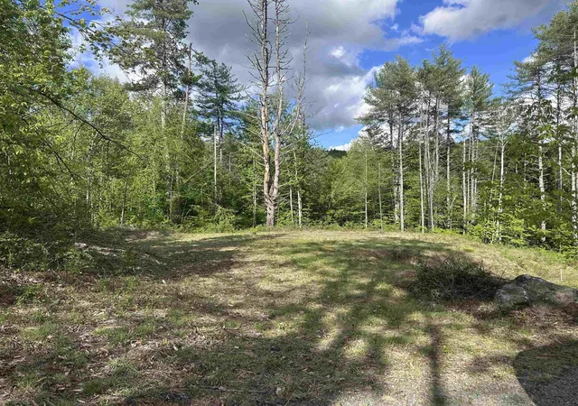 Homes for sale in Jamaica, VT | 14 Sugar Lot Ln, Jamaica, VT 05343 | MLS# 5092583
