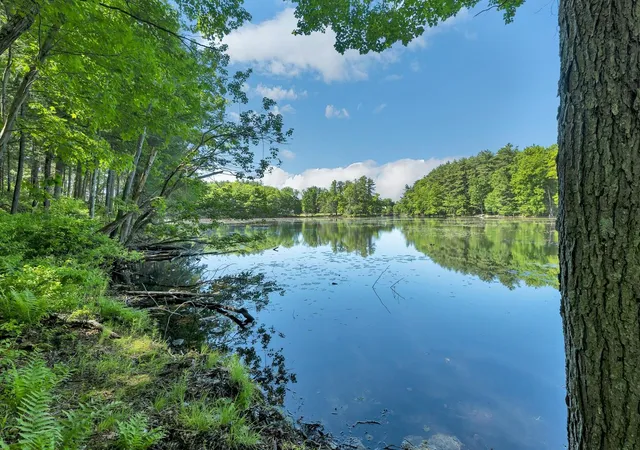 1st image of 40 Norwood Rd, Salem, NH 03079 | MLS# 5092784