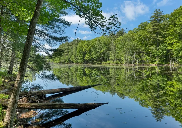 4th image of 40 Norwood Rd, Salem, NH 03079 | MLS# 5092784