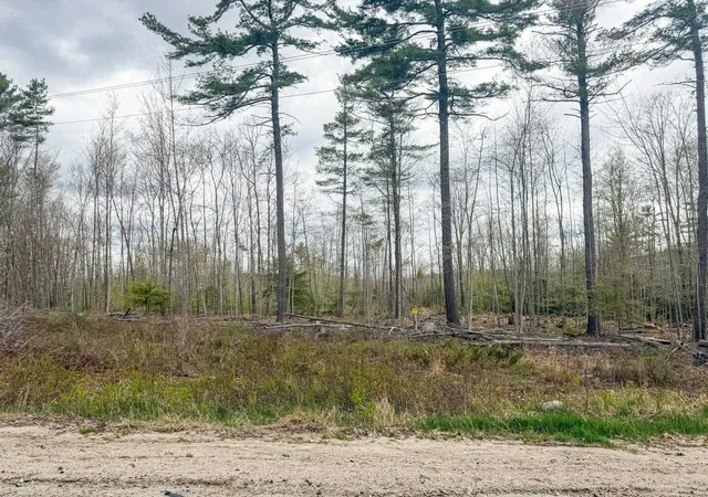 23rd image of Lot A East Main St, Denmark, ME 04022 | MLS# 5092837