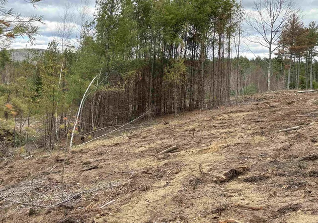Photo 2 of Land for sale at 550 Route 16 Hwy, Ossipee, NH 03864 | MLS# 5092847 | Listing updated on 2026-09-01