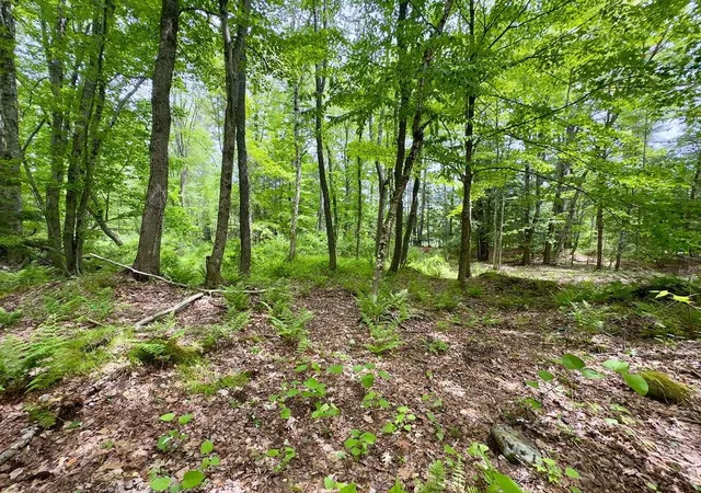 image of 77 79 Province Rd, Strafford, NH 03884 | MLS# 5092910