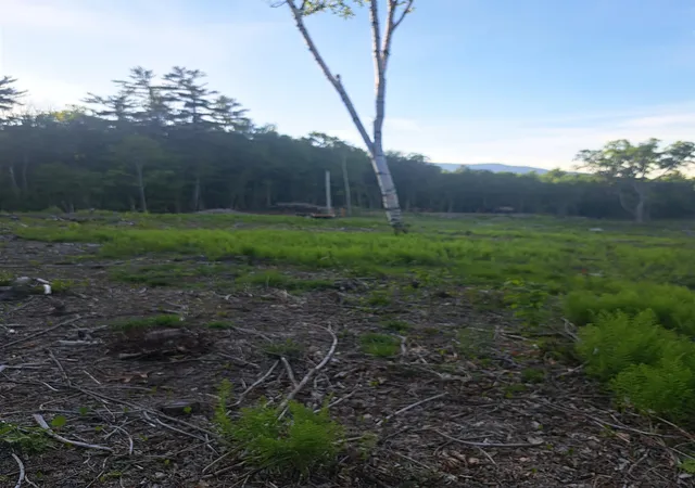 2nd image of 140 Great Rd, Jaffrey, NH 03452 | MLS# 5092958