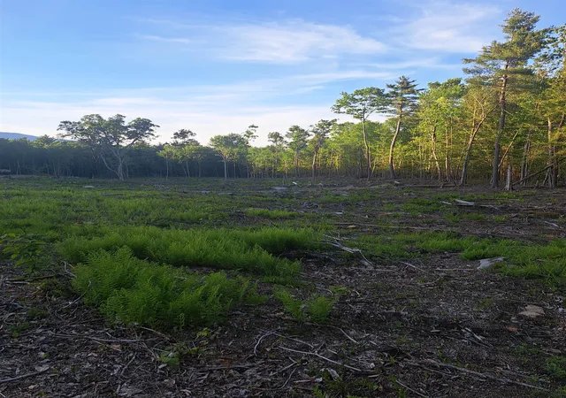 5th image of 140 Great Rd, Jaffrey, NH 03452 | MLS# 5092958