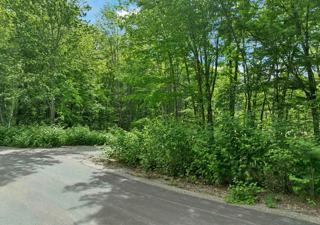 Homes for sale in Northfield, NH | 00 Silver Ln, Northfield, NH 03276 | MLS# 5093071