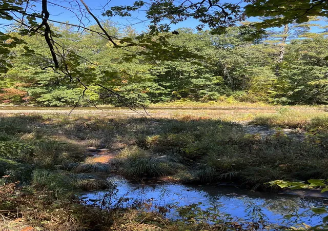 Homes for sale in Jamaica, VT | 1297 River Rd, Jamaica, VT 05343 | MLS# 5093083