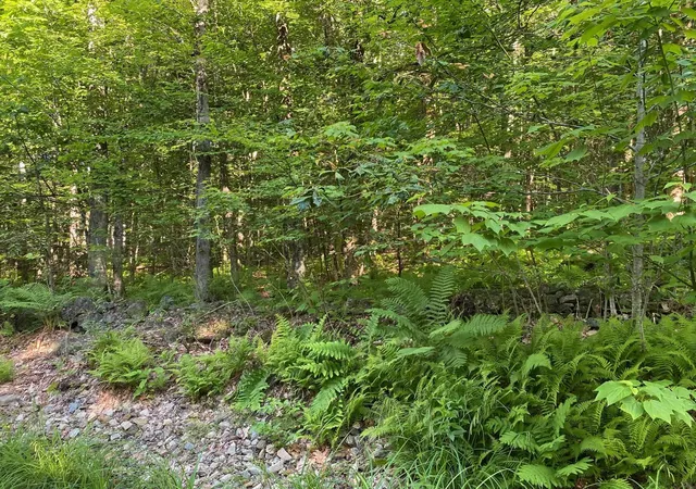 Homes for sale in Milton, NH | 164 Lot 18 3 Mason Rd, Milton, NH 03851 | MLS# 5093119