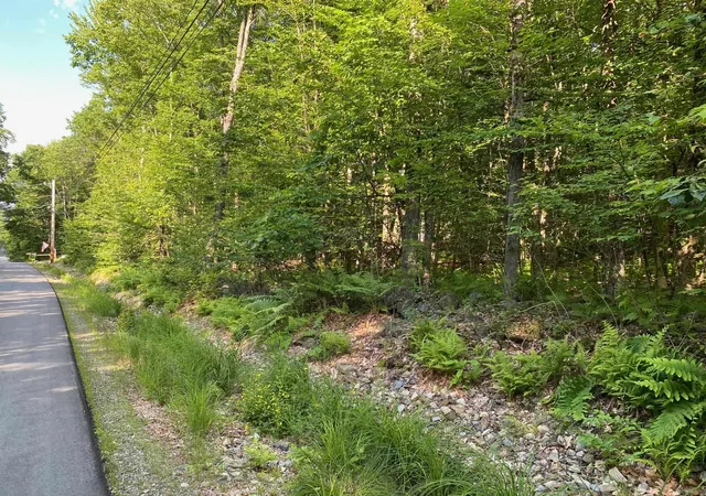 Homes for sale in Milton, NH | 164 Lot 18 3 Mason Rd, Milton, NH 03851 | MLS# 5093119