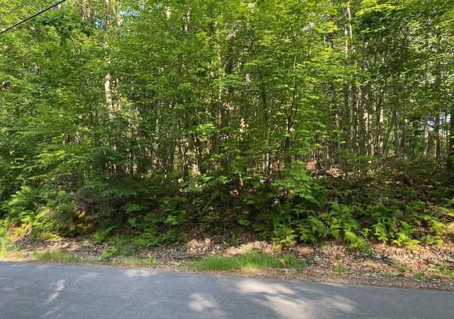 Homes for sale in Milton, NH | 164 Lot 18-3 Mason Rd, Milton, NH 03851 | MLS# 5093119