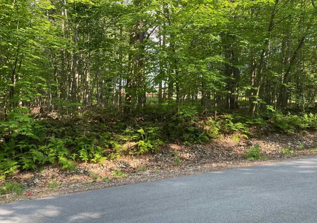 Homes for sale in Milton, NH | 164 Lot 18-3 Mason Rd, Milton, NH 03851 | MLS# 5093119