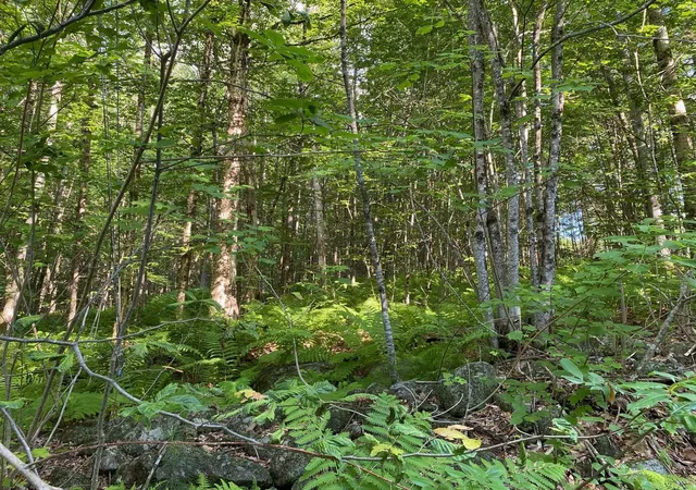 Homes for sale in Milton, NH | 164 Lot 18-3 Mason Rd, Milton, NH 03851 | MLS# 5093119