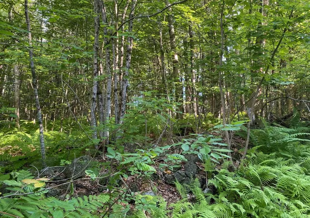 Homes for sale in Milton, NH | 164 Lot 18 3 Mason Rd, Milton, NH 03851 | MLS# 5093119