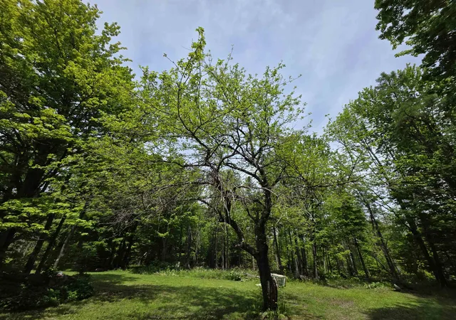 4th image of 2731 Vt Rte 232, Marshfield, VT 05658 | MLS# 5093131