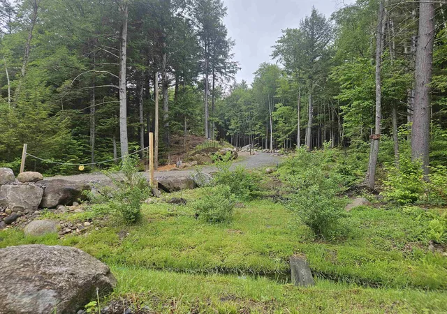 Homes for sale in Woodstock, NH | 15 Otter Brook Rd, Woodstock, NH 03262 | MLS# 5093158