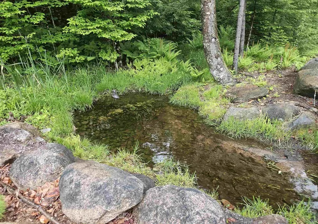 Homes for sale in Woodstock, NH | 15 Otter Brook Rd, Woodstock, NH 03262 | MLS# 5093158