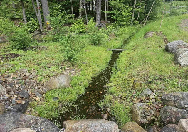 Homes for sale in Woodstock, NH | 15 Otter Brook Rd, Woodstock, NH 03262 | MLS# 5093158