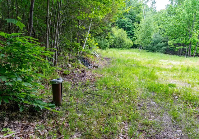1st image of 00 & 0b Richardson Rd, Hiram, ME 04041 | MLS# 5093169