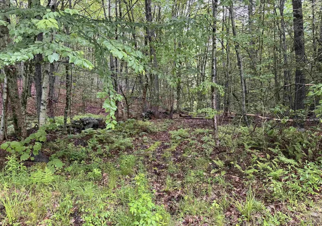 Homes for sale in Sullivan, NH | 101 Gilsum Rd, Sullivan, NH 03445 | MLS# 5093283
