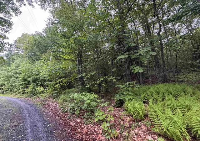 Homes for sale in Sullivan, NH | 101 Gilsum Rd, Sullivan, NH 03445 | MLS# 5093283