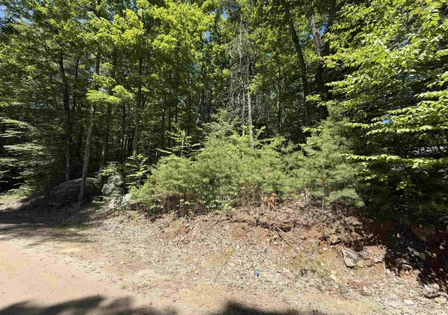 Homes for sale in Barrington, NH | 00 Long Shores Dr, Barrington, NH 03825 | MLS# 5093414